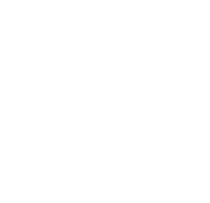 DIGITAL-SUMMIT-allwhite